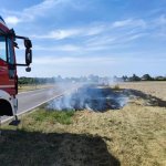 Einsätze » Brandeinsatz (B1) Vegetationsbrand in Probstdorf am 12.08.2024