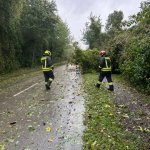 Sturmschaden in Probstdorf am 15.09.2024