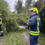 Sturmschaden in Probstdorf am 15.09.2024