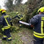 Sturmschaden in Probstdorf am 15.09.2024