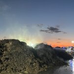 Brand Kompostanalge